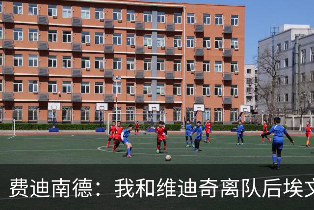 费迪南德：我和维迪奇离队后埃文斯能力最强